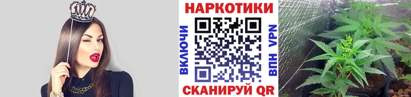 Купить Перевоз ОМГ ОМГ как зайти  Бошки Шишки  Меф  ГАШ 