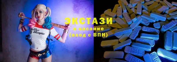 apvp Вяземский