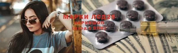 apvp Вяземский
