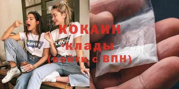 apvp Вяземский