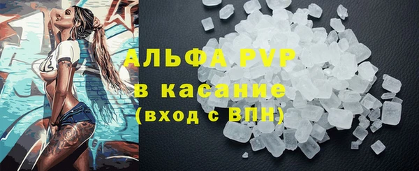apvp Вяземский