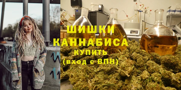 apvp Вяземский