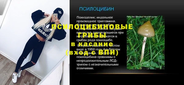 apvp Вяземский