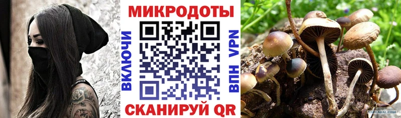 Галлюциногенные грибы Magic Shrooms  наркота  Перевоз 